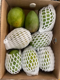 Sendhura Mangoes (1.5 kg box)
