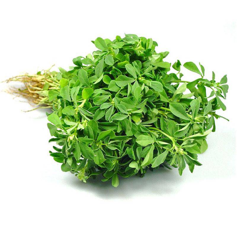 Methi leaves 1 stuck (only Hamburg)