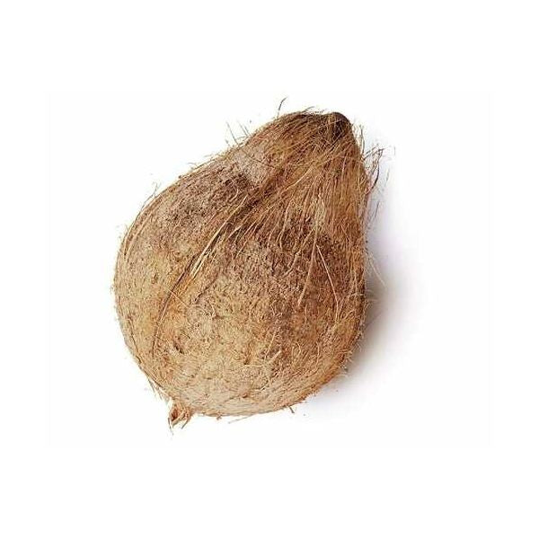 Fresh Coconut with hair 1pc