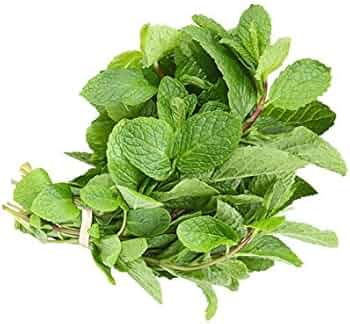 Fresh Mint leaves - 1 bunch (only Hamburg)